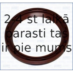 Уплотняющее кольцо, коленчатый вал AJUSA 15095200
